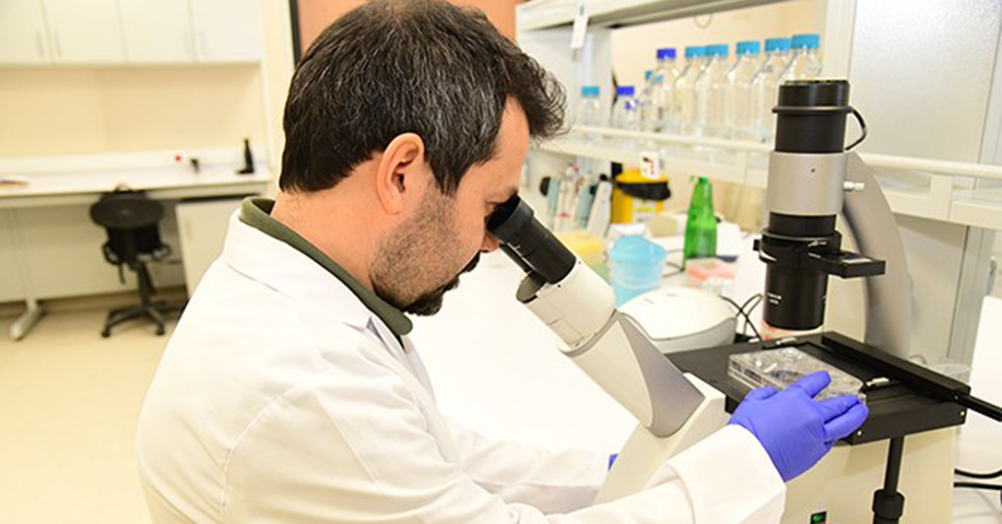 Baş ve Boyun Kanserlerinin Tedavisinde Kullanılabilecek Yeni Moleküllerin Geliştirmesini Hedefleyen Proje Desteklenmeye Hak Kazandı